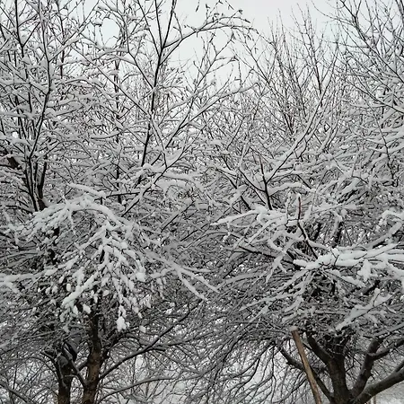 Casa Da Emilia Do Geres Дом отдыха Outeiro (Tras-Os-Montes)