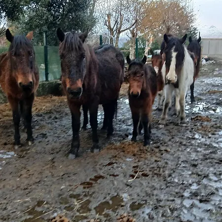 Дом отдыха Casa Da Emilia Do Geres *