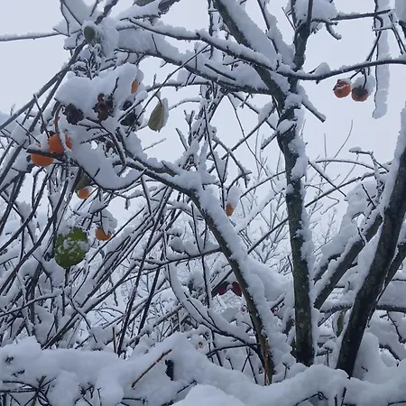 Casa Da Emilia Do Geres Дом отдыха Outeiro (Tras-Os-Montes)