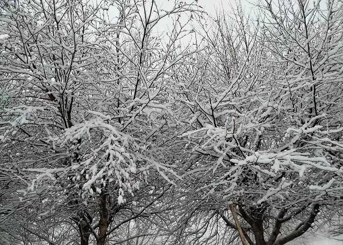 Casa Da Emilia Do Gerês Hébergement de vacances Outeiro (Tras-Os-Montes)