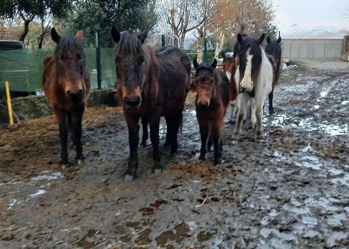 Дом отдыха Casa Da Emilia Do Geres *