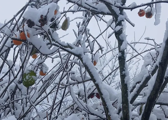 Casa Da Emilia Do Gerês Hébergement de vacances Outeiro (Tras-Os-Montes)